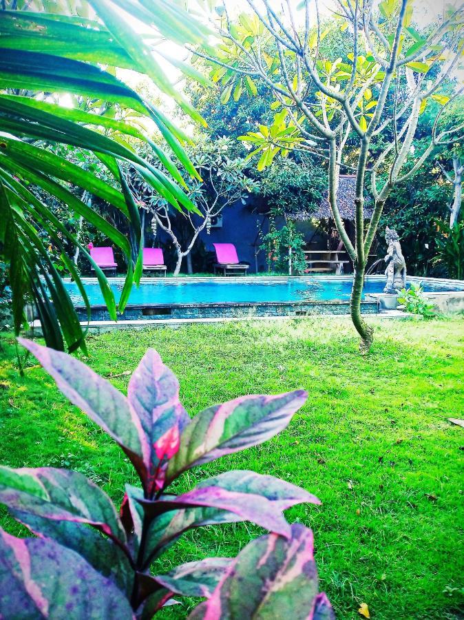 Mango Moon Pemuteran Exterior foto