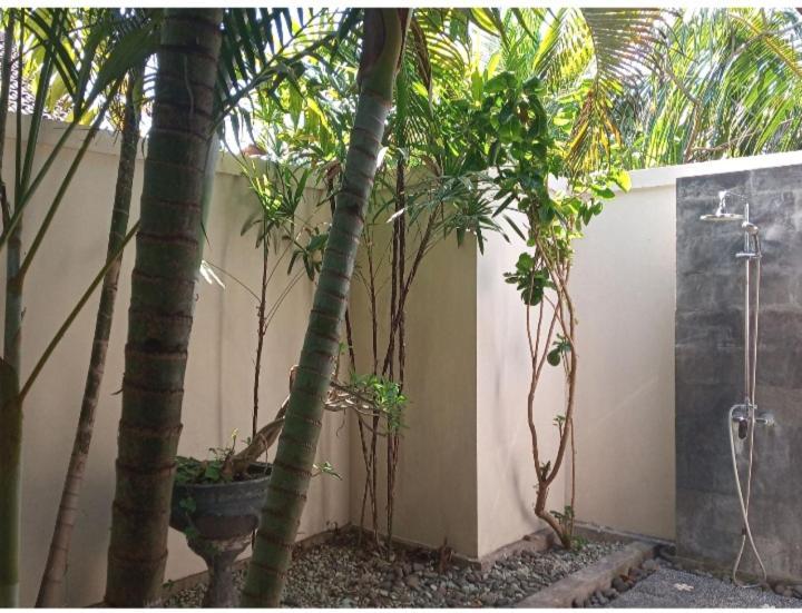 Mango Moon Pemuteran Exterior foto