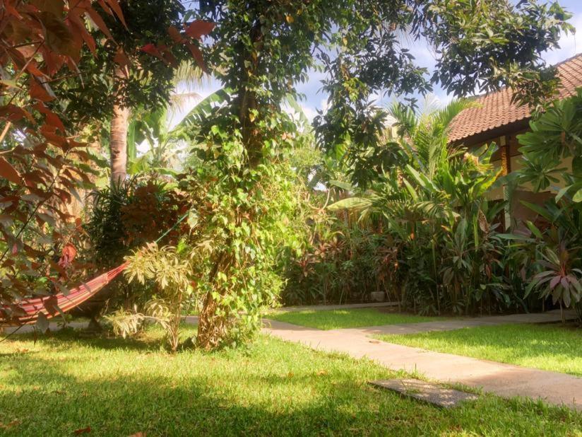 Mango Moon Pemuteran Exterior foto
